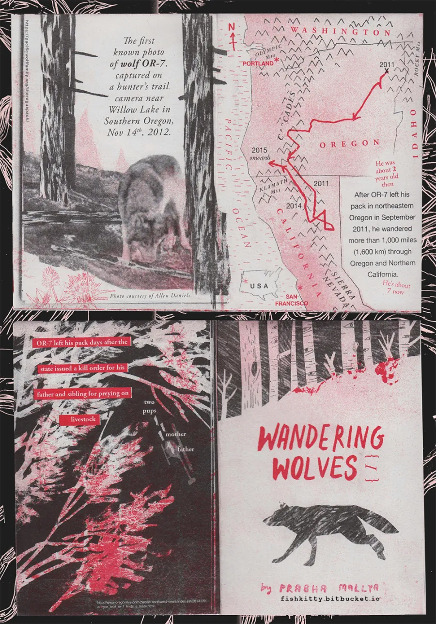 Wandering Wolves